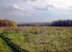В скором времени рынок загородной недвижимости Подмосковья будет затоварен В скором времени рынок загородной недвижимости Подмосковья будет затоварен